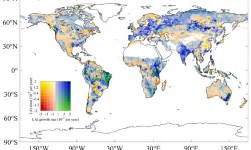 Objevují se nové důkazy, že globální růst vegetace dosahuje nových maxim díky zvýšenému hnojení CO2