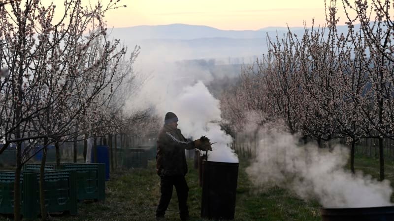 VÝSTRAHA: Do Česka se řítí arktický vzduch. Teplota klesne pod nulu, úroda ovoce je ohrožena VÝSTRAHA: Do Česka se řítí arktický vzduch. Teplota klesne pod nulu, úroda ovoce je ohrožena