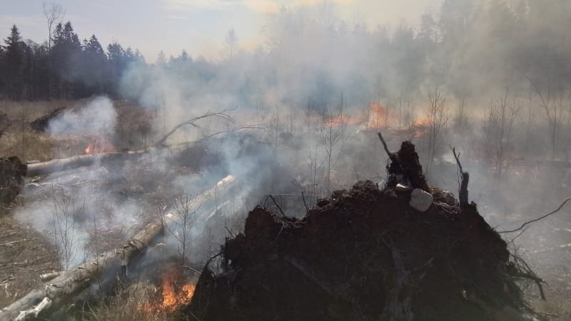 Na Jihlavsku hoří les. Plameny zasáhly rozsáhlou plochu, situaci komplikuje silný vítr Na Jihlavsku hoří les. Plameny zasáhly rozsáhlou plochu, situaci komplikuje silný vítr