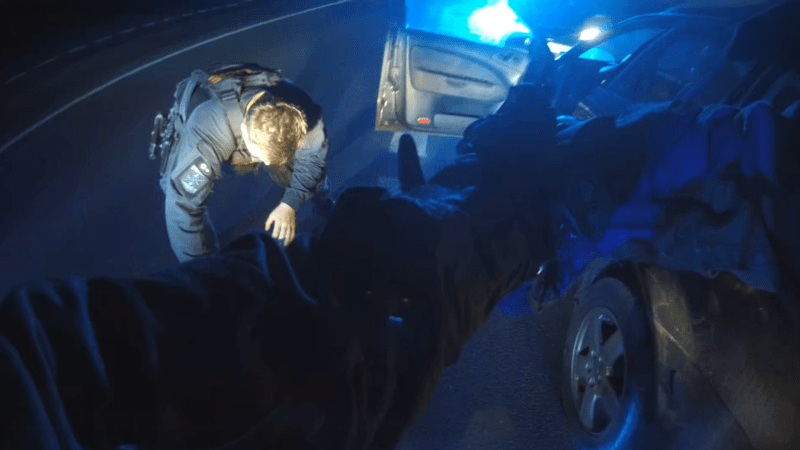 Zběsilá honička v Hradci: 26letý řidič měl v krvi dvě promile, policisté museli tasit zbraň Zběsilá honička v Hradci: 26letý řidič měl v krvi dvě promile, policisté museli tasit zbraň