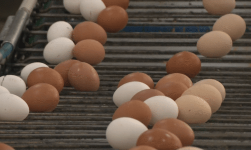 Jak ušetřit o Velikonocích? Obchodníci tvrdě bojují o zákazníky a předhánějí se ve slevách Jak ušetřit o Velikonocích? Obchodníci tvrdě bojují o zákazníky a předhánějí se ve slevách