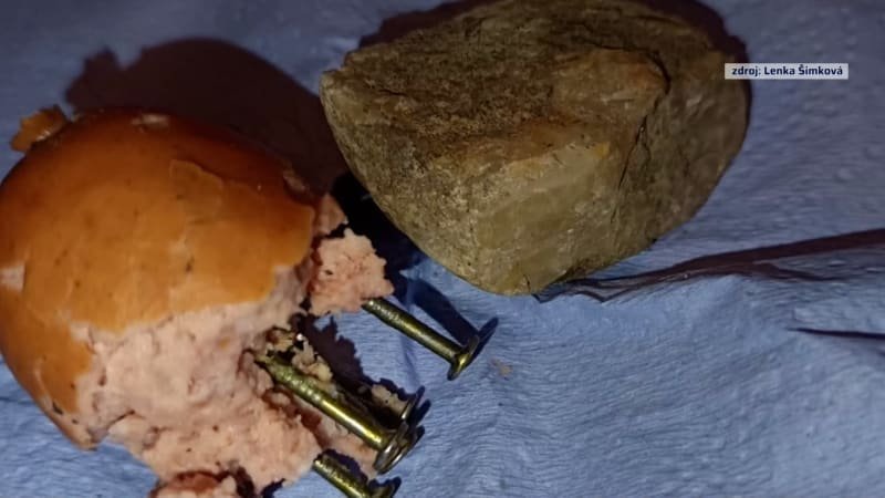 Zákeřná past na psy na Liberecku: Na zahradě našli buřt s vruty, lidé v okolí mají strach Zákeřná past na psy na Liberecku: Na zahradě našli buřt s vruty, lidé v okolí mají strach