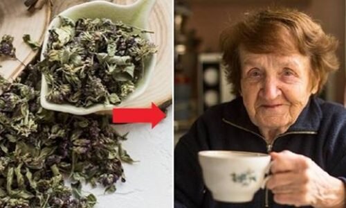 Mám už vlastne cez 76 rokov, ale nikdy som ešte „nebola poriadne“ v nemocnici. Vďaka domácemu čaju, ktorý pijem trikrát týždenne a skutočne pomáha!