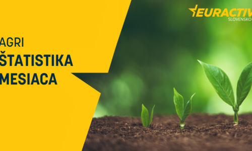 Štatistika mesiaca: Je 25 tisíc litrov vína veľa?