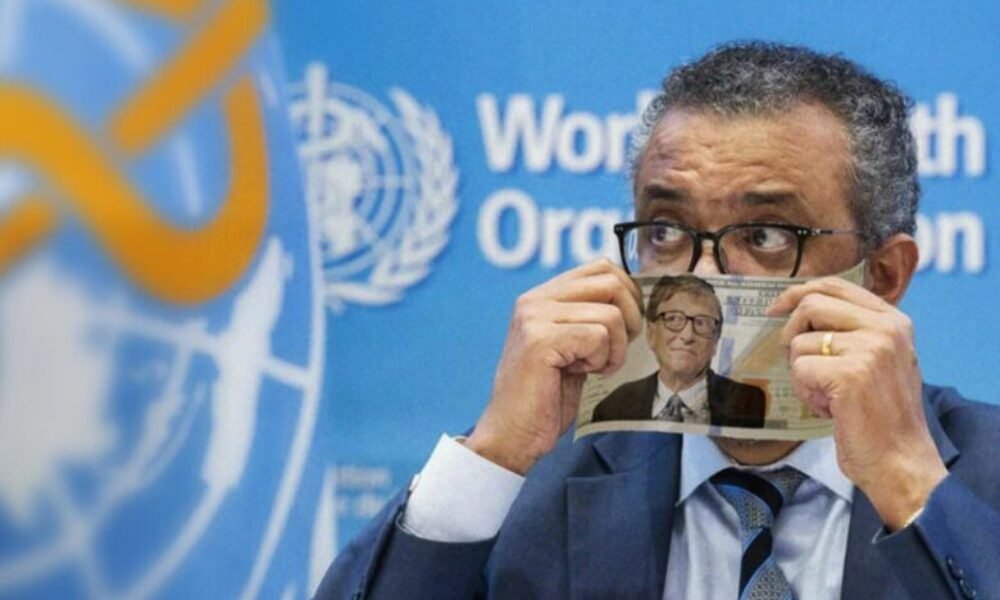 Who: agentúra pre gatesovu nadáciu?