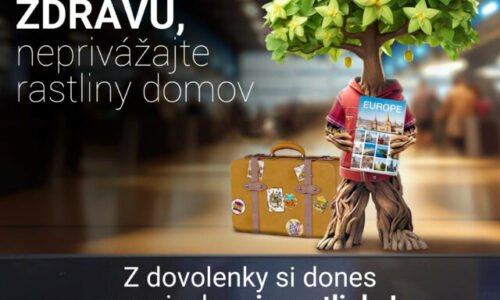 Tretí ročník kampane #PlantHealth4Life vyzýva občanov k ochrane zdravia rastlín