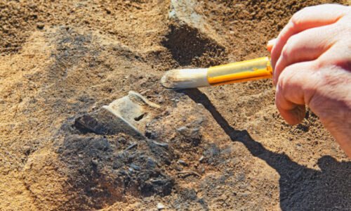 Archeológovia preskúmajú pohrebiská pod budúcim obchvatom Šale, aj jaskyňu lovcov z doby kamennej v Tatrách