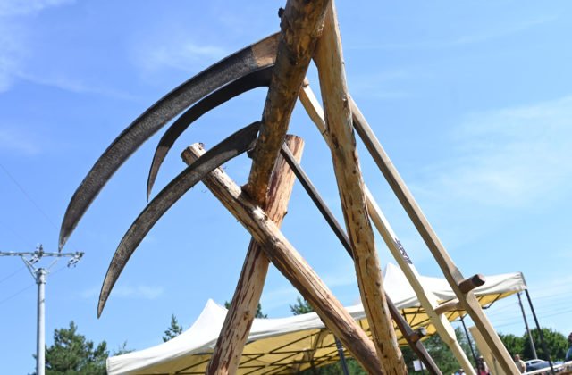Pod hradom vo Veľkom Šariši sa na Deň detí bude kosiť ako za starých čias