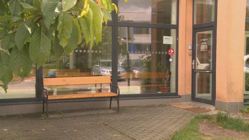 Za odříznutí čumáku psovi hrozí ženám vězení. Psycholog v činu vidí počátek sadismu Za odříznutí čumáku psovi hrozí ženám vězení. Psycholog v činu vidí počátek sadismu