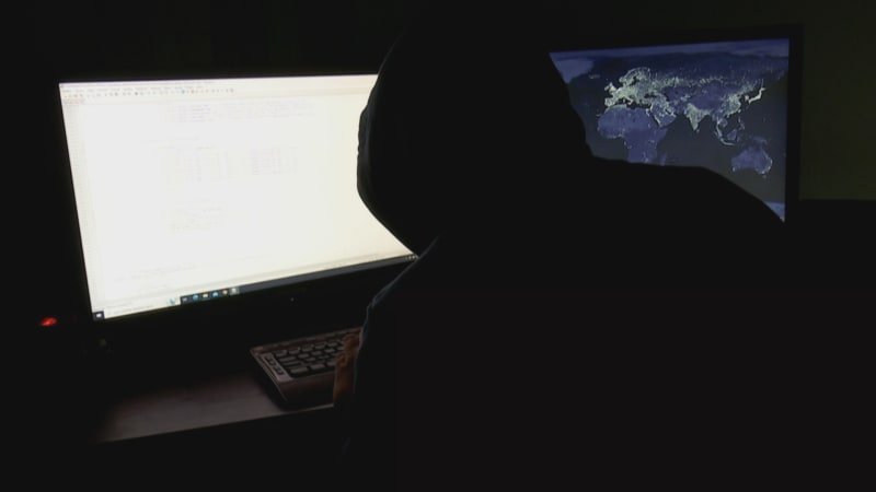 Česká seniorka se nevědomky stala pirátkou: Způsobila škodu za 13 milionů, soud ji potrestal Česká seniorka se nevědomky stala pirátkou: Způsobila škodu za 13 milionů, soud ji potrestal