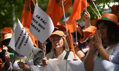 Zablokují opět traktory silnice? Zemědělská politika se zbortí jako dům z karet, varují farmáři