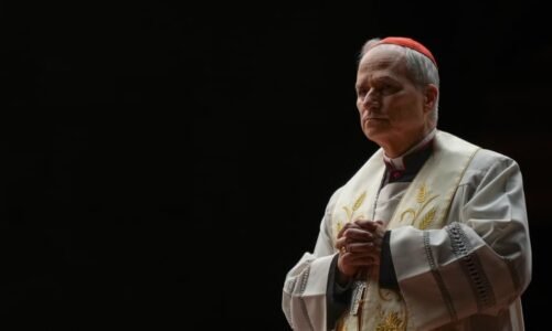 Americký misionář z Peru i významný církevní reformátor. Kdo je nový papež Lev XIV.?
