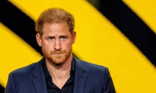Prince Harryho sžírá hněv, zašel příliš daleko. Expertka zhodnotila slova o zdraví krále