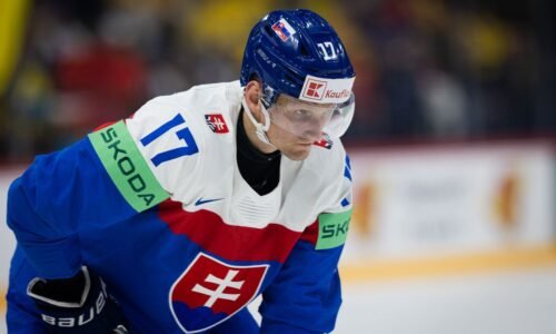 Najlepší Slovák v zápase so Švédskom? Povykrúcal aj jedného z najlepších obrancov NHL