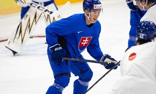 Rýchlosť Švédov bola niekde inde, na to nie som z extraligy zvyknutý, priznal Sebastián Čederle