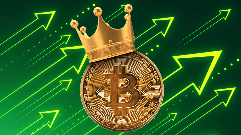 Nová éra kryptomien: Bitcoin vstupuje do 20-ročnej fázy dominancie Nová éra kryptomien: Bitcoin vstupuje do 20-ročnej fázy dominancie