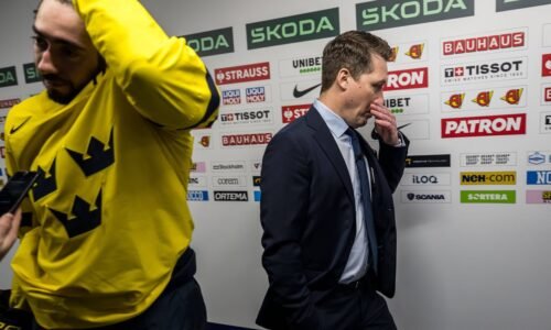 Tréner Švédska vypenil: Je to od vás podlé a hlúpe. Mali by ste sa upokojiť, preberte sa