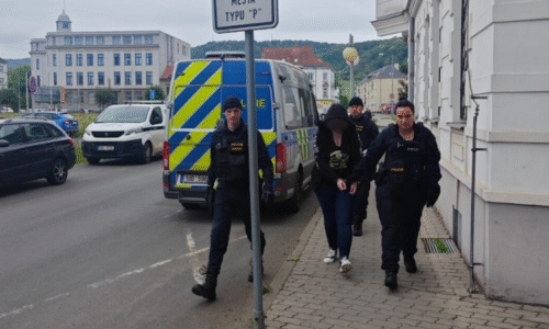Žena v Ústí nad Labem chtěla nožem vyvraždit zákazníky obchoďáku. Tragédii zabránila policie