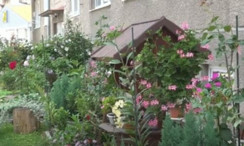 Najkrajšia predzáhradka Najkrajšia predzáhradka