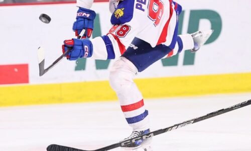 Týždeň Slovákov v CHL Juraj Pekarčík má po sezóne. Do finále Memorial Cupu nedostali Moncton ani jeho body