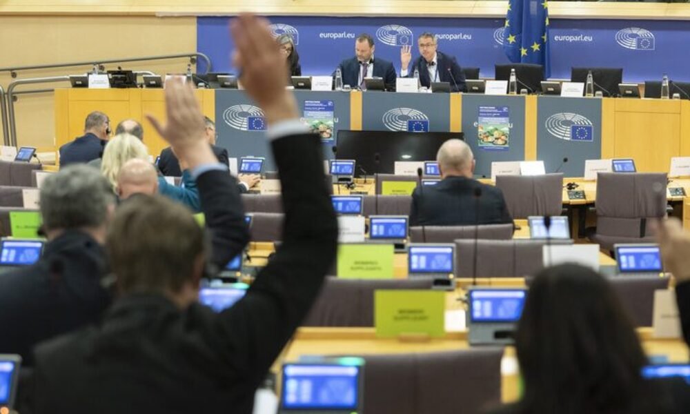 Europoslanci pripomienkujú reformu eurofondov. Peniaze chcú držať v regiónoch