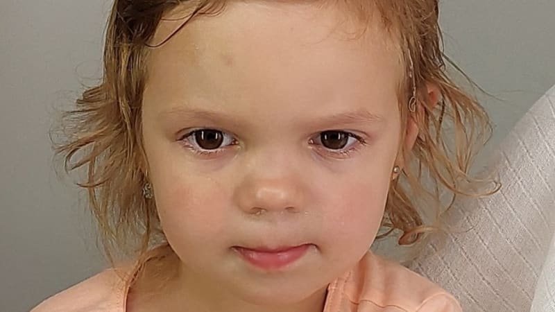 Policie pátrá po čtyřleté Nině z Pezinku. Měla odejít se svou matkou, nikdo o ní neví Policie pátrá po čtyřleté Nině z Pezinku. Měla odejít se svou matkou, nikdo o ní neví