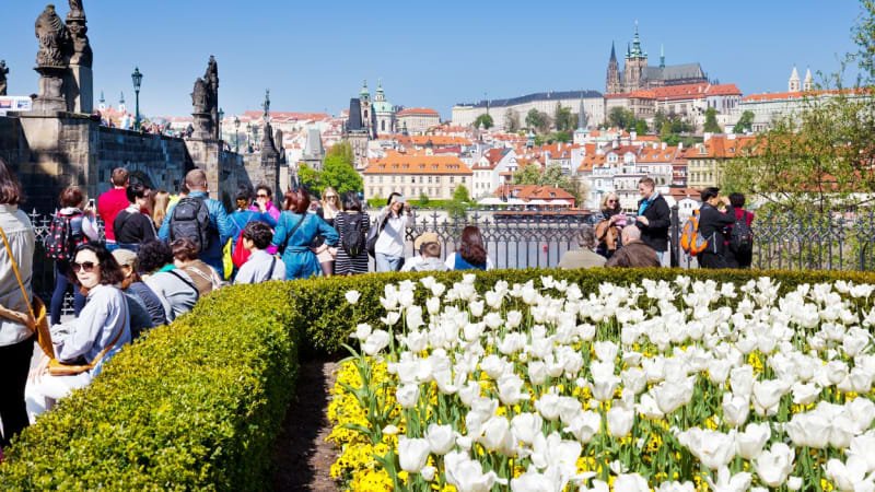 Praha už není nejlepším krajem pro život, kdo ji nahradil v čele žebříčku? Praha už není nejlepším krajem pro život, kdo ji nahradil v čele žebříčku?