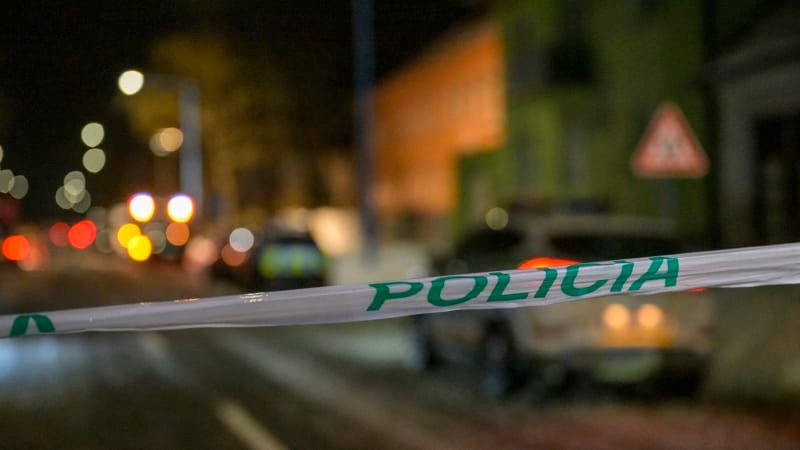 Hrůzný čin otřásl Slovenskem: Matka ubodala svého malého syna. V kufru ho přivezla na policii