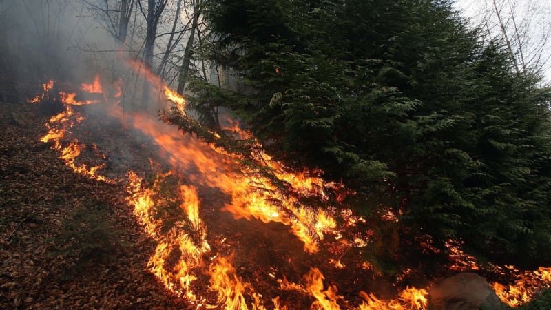 VÝSTRAHA: Kvůli vlnám veder hrozí v Česku požáry. Podívejte se, kde si dát pozor VÝSTRAHA: Kvůli vlnám veder hrozí v Česku požáry. Podívejte se, kde si dát pozor