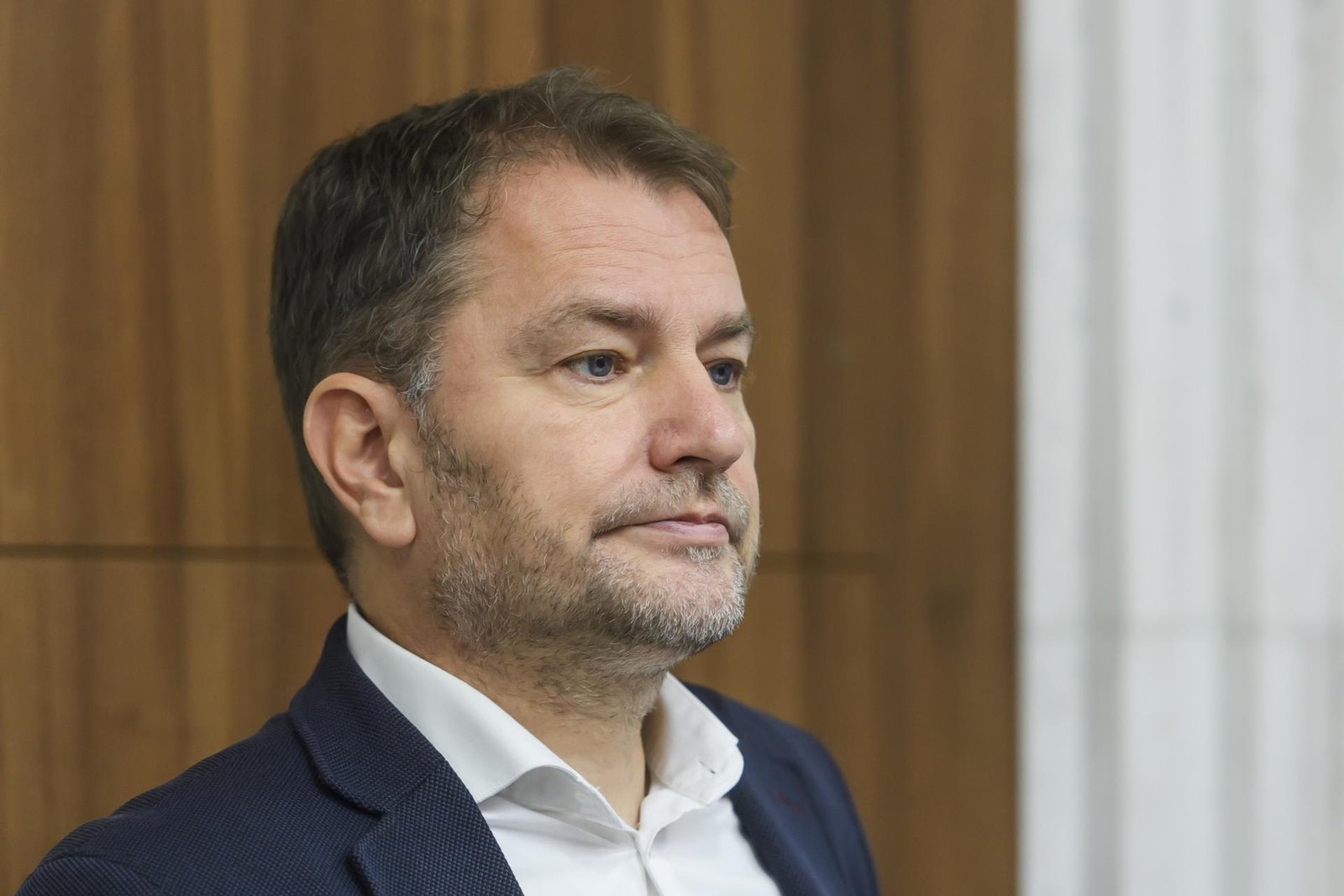 Matovič: Premiér by mal smerovať cesty do západných krajín, ktoré u nás investujú Matovič: Premiér by mal smerovať cesty do západných krajín, ktoré u nás investujú