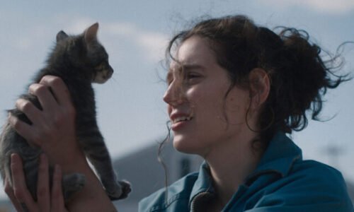 To najlepšie z najprestížnejších svetových filmových festivalov exkluzívne na IFF Art Film 2025