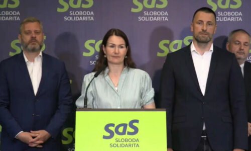 SaS kritizuje cyrilometodské oslavy na Devíne za 750-tisíc eur, hovorí o papalášizme – VIDEO
