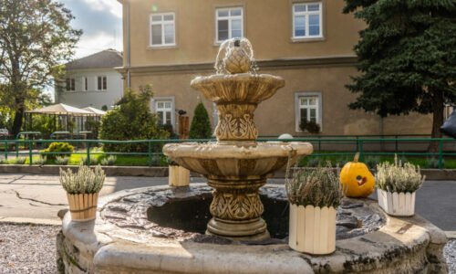 14. ročník Dňa otvorených dverí v Domove sociálnych služieb pre dospelých v Báhoni
