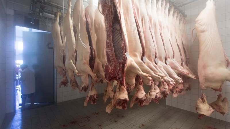 Nechutný nález hygieniků ve Starém Brně: V řeznictví se nacházely desítky kil zkaženého masa Nechutný nález hygieniků ve Starém Brně: V řeznictví se nacházely desítky kil zkaženého masa