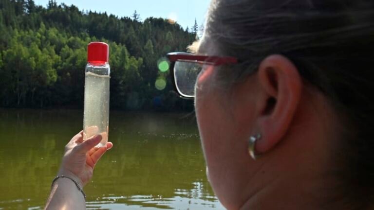 Přehledně: hygienici varují před nebezpečnými koupališti. podívejte se, která raději vynechat