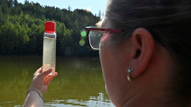PŘEHLEDNĚ: Hygienici varují před nebezpečnými koupališti. Podívejte se, která raději vynechat PŘEHLEDNĚ: Hygienici varují před nebezpečnými koupališti. Podívejte se, která raději vynechat