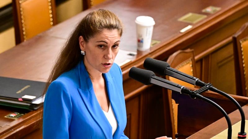 Časová osa bitcoinové kauzy začíná před 10 lety, zveřejnila Decroix. Nejsou v ní žádná jména Časová osa bitcoinové kauzy začíná před 10 lety, zveřejnila Decroix. Nejsou v ní žádná jména