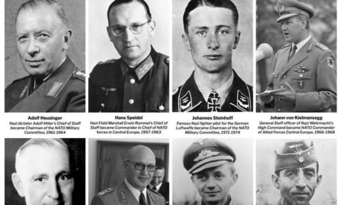 První Němci v NATO byli nacisté, často zastávali vysoké funkce