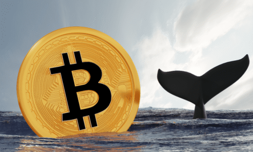 Bitcoin pre bohatých: Malé prevody miznú, sieť ovládli veľké ryby