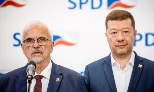 David proti všem. Proč SPD hájí pedofily a jiné úchyly? ptá se Zdechovský a další europoslanci