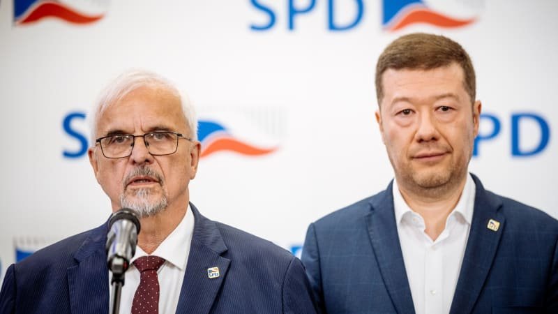 David proti všem. Proč SPD hájí pedofily a jiné úchyly? ptá se Zdechovský a další europoslanci David proti všem. Proč SPD hájí pedofily a jiné úchyly? ptá se Zdechovský a další europoslanci