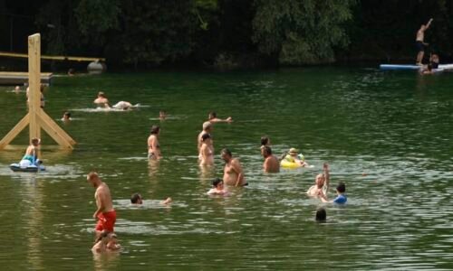 Žralok ve slovenském jezeře? Koupající vyděsila „obluda“ u hladiny, lidé na sítích klidní emoce