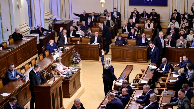 Kdo se bojí o své lídry? Výzvy ke kroužkování zakázali SPD i Piráti, Stačilo! to neřeší Kdo se bojí o své lídry? Výzvy ke kroužkování zakázali SPD i Piráti, Stačilo! to neřeší