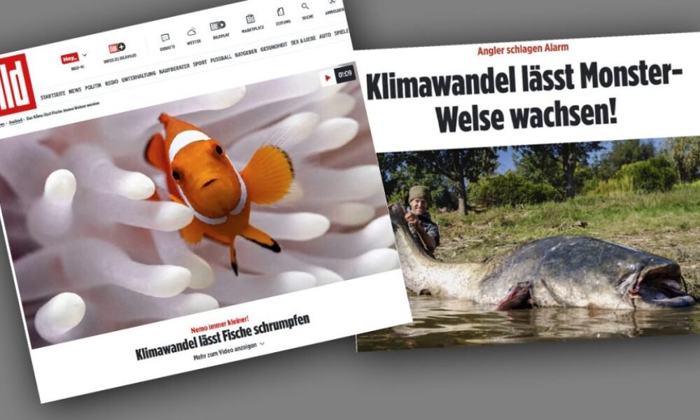 Klimatická propaganda je stále tupější: Tvrdí, že vedro může za to, že jsou ryby příliš malé, ale i příliš velké