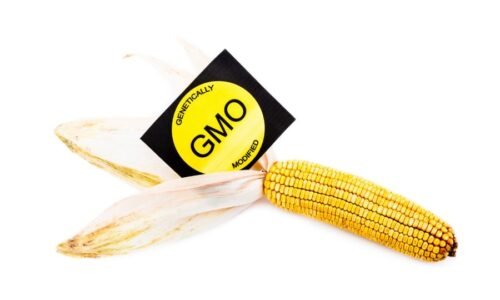 Zachovanie súčasnej regulácie a vysledovateľnosti nových GMO je najlepšia odpoveď na ich rozbehnutú dereguláciu.