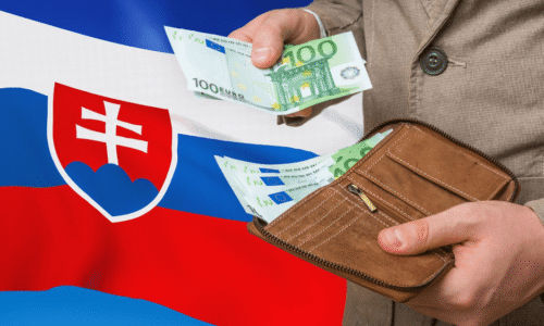 Hlavný ekonóm NBS na margo Slovenska: Naša krajina ťahá za kratší koniec