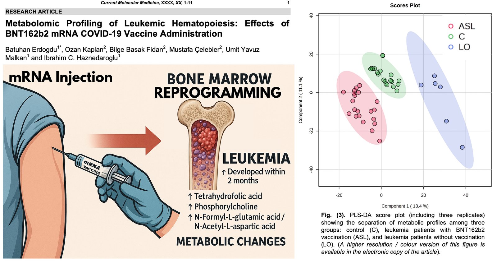 Studie: Injekce mRNA vedou k přeprogramování kostní dřeně, důsledkem je rakovina Studie: Injekce mRNA vedou k přeprogramování kostní dřeně, důsledkem je rakovina