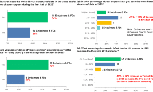 64 % balzamovačů na sjezdu v Tennessee potvrdilo, že letos viděli bílé vláknité sraženiny