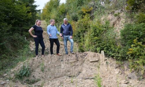 Prírodné kredity majú dofinancovať biodiverzitu zo súkromných zdrojov