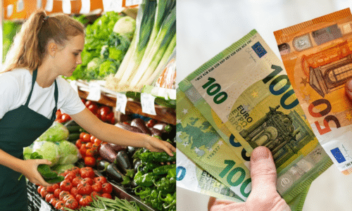 Zarábajte aj 12 eur na hodinu. Najlukratívnejšie brigády leta 2025
